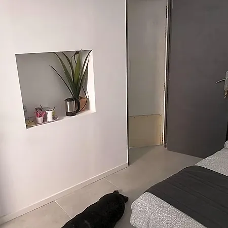 Stella Maris