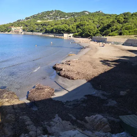 Stella Maris